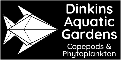 dinkinsaquaticgardens.com