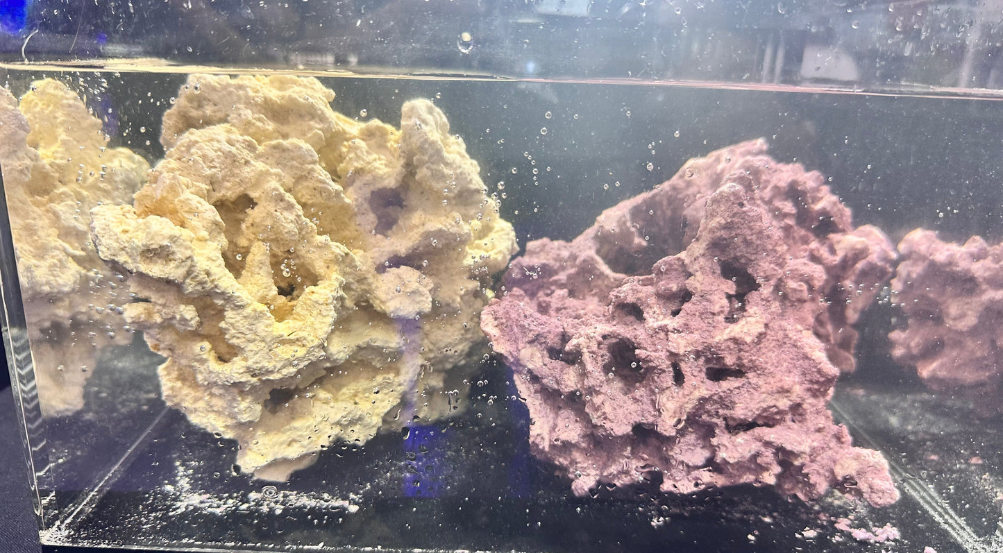 Boost Your Snacklerock Bundle