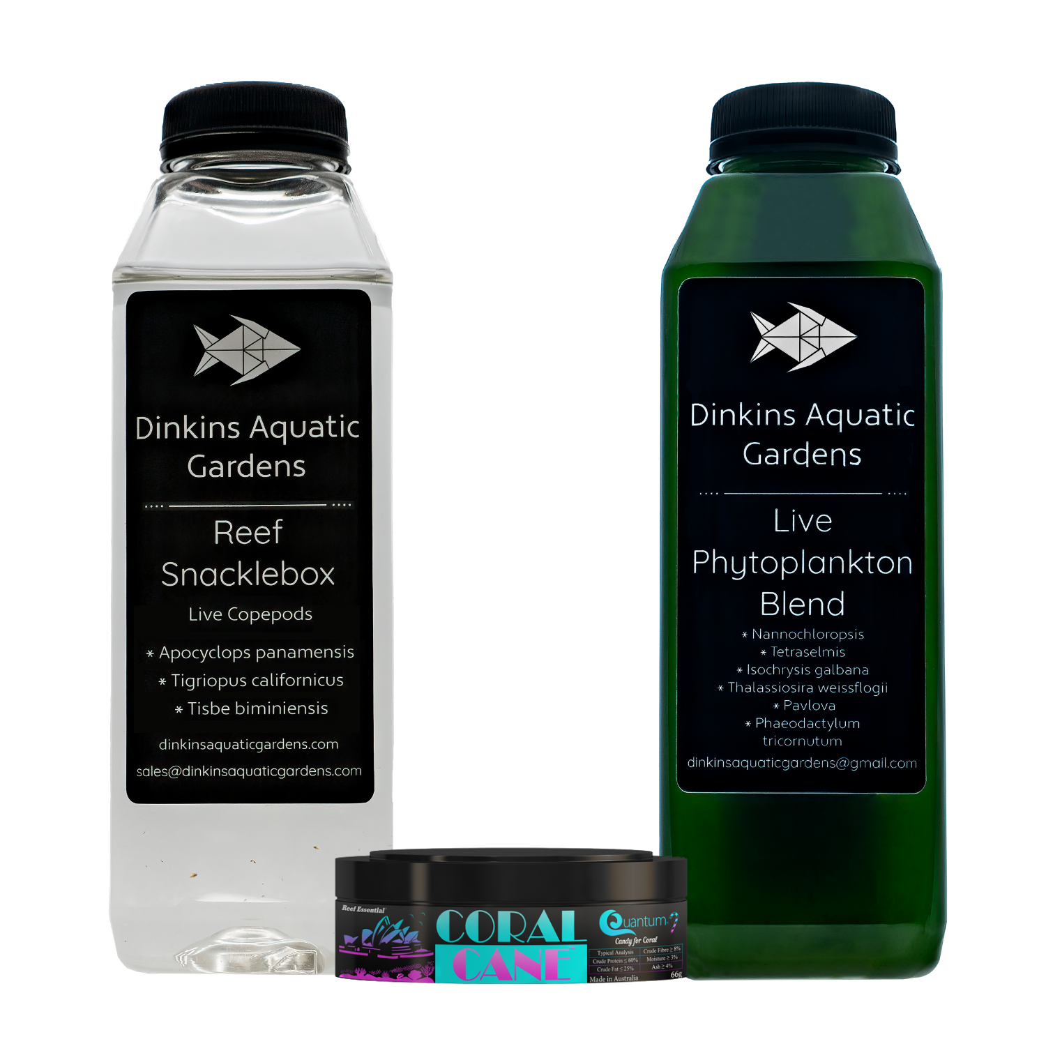 Snacklepail Combo - Live Phyto + Snacklebox™ + Coral Cane® – Dinkins  Aquatic Gardens