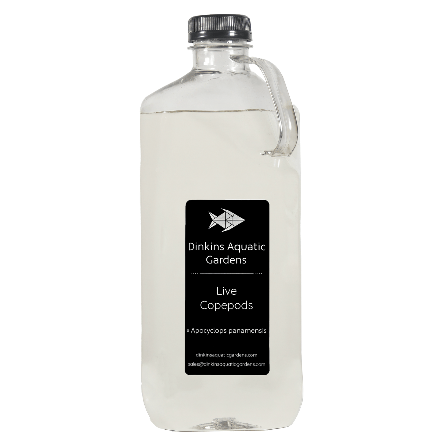 Apocyclops Copepods (Half Gallon)