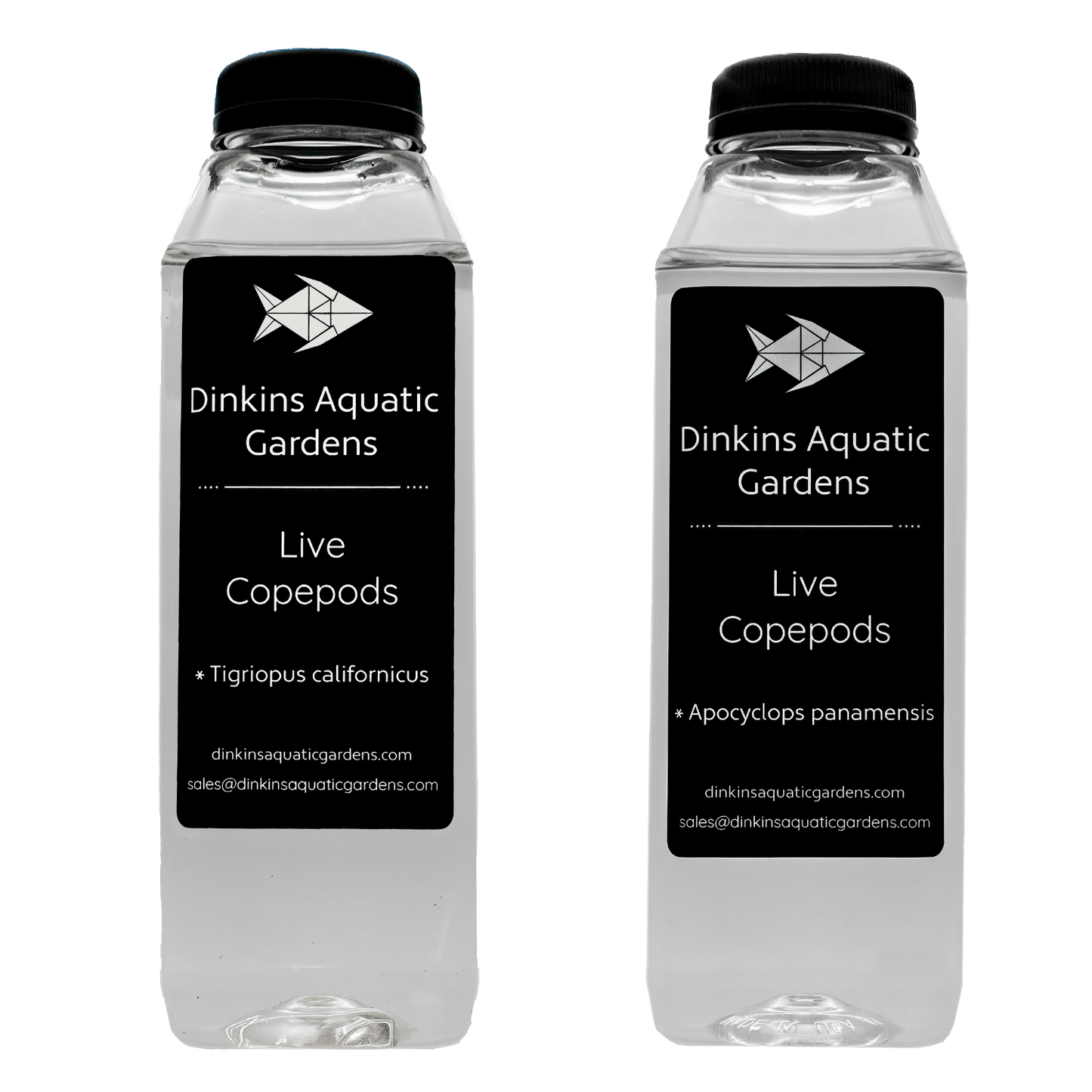 Pick Your Pods 2-Pack - Dinkins Aquatic Gardens
