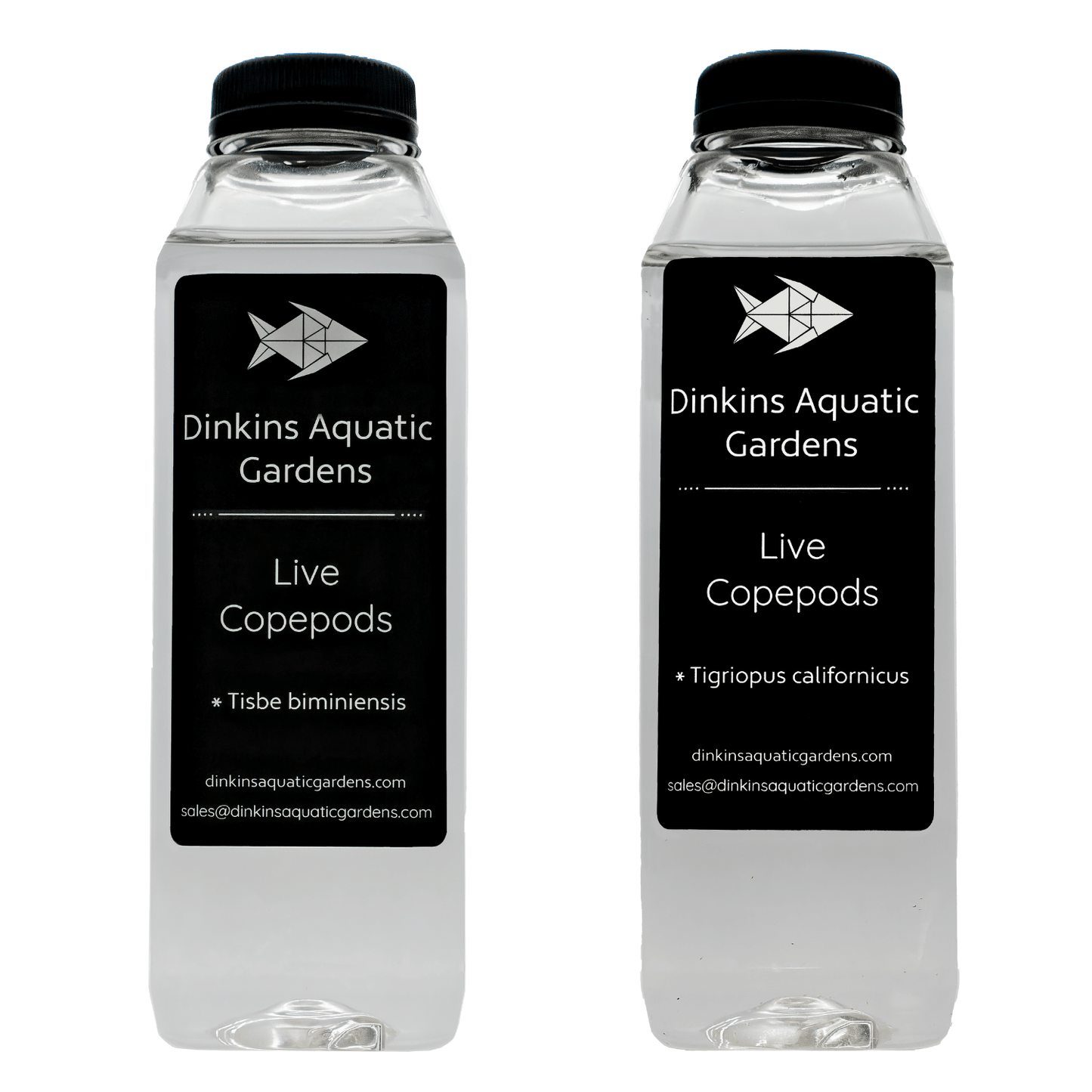 Pick Your Pods 2-Pack - Dinkins Aquatic Gardens
