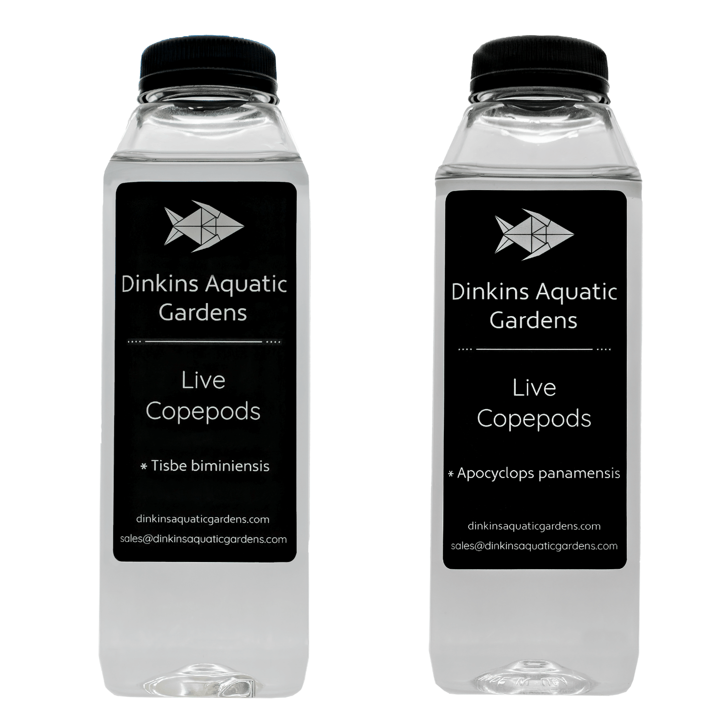 Pick Your Pods 2-Pack - Dinkins Aquatic Gardens