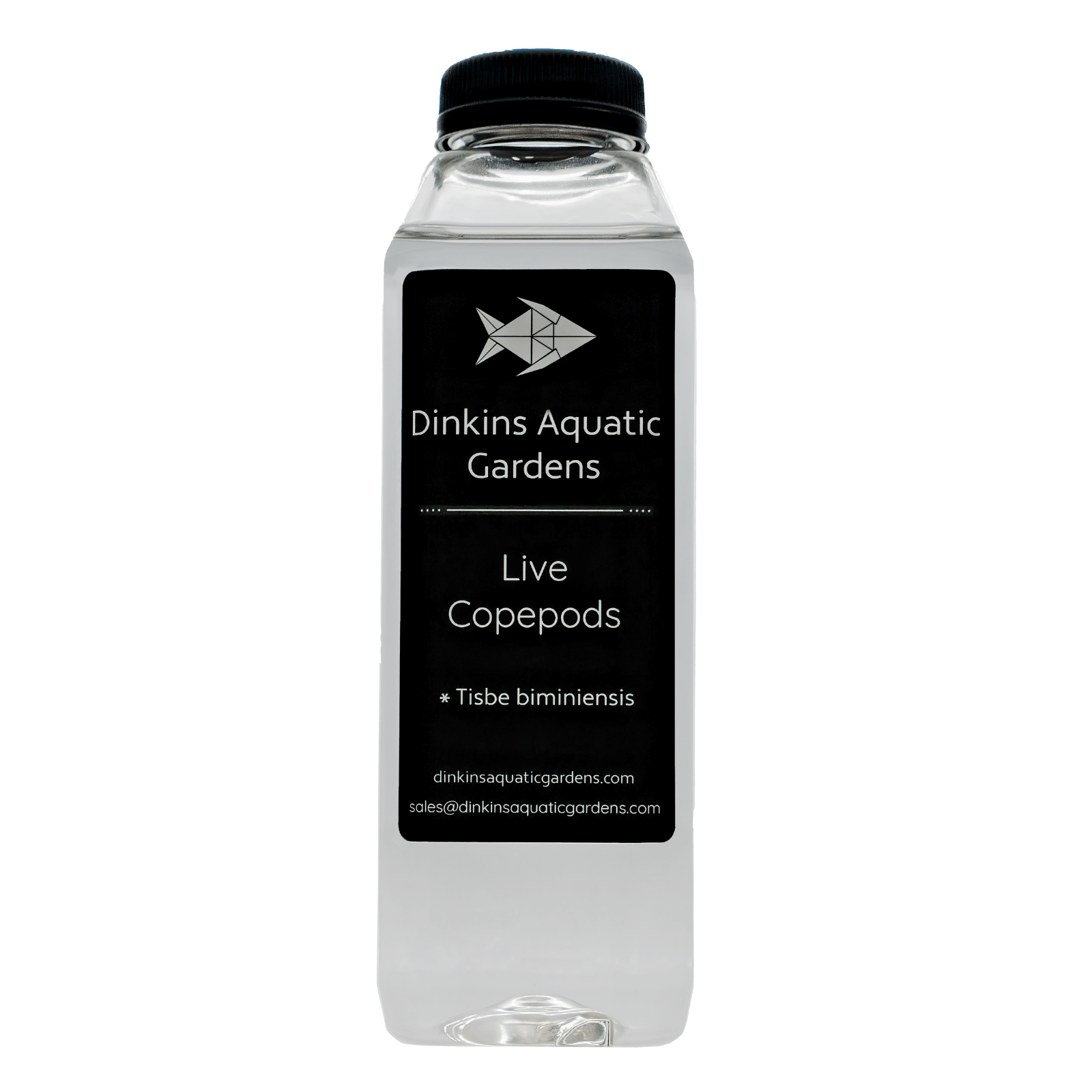 Tisbe Copepods (16 oz)