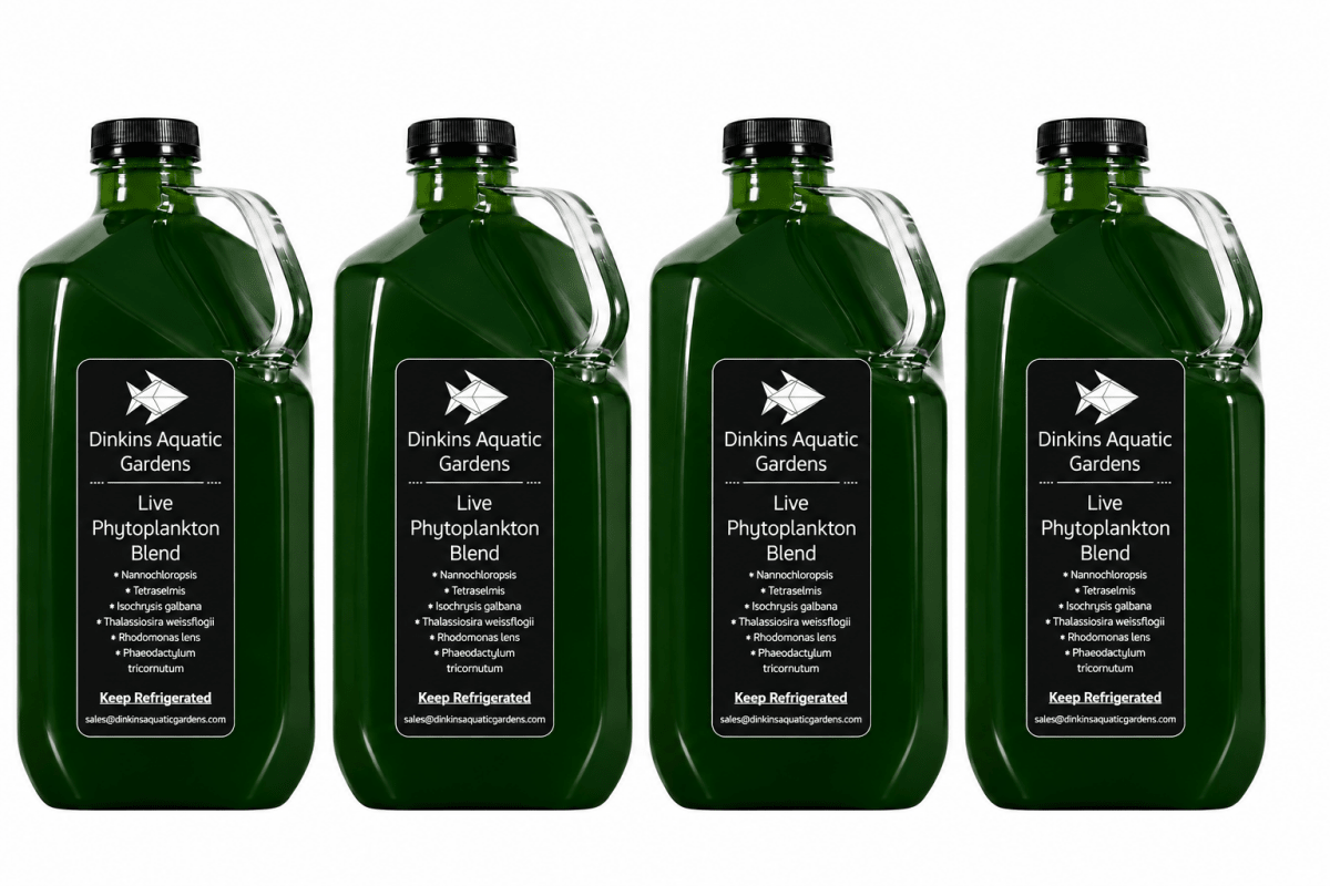 Live Phytoplankton - Six Species Blend - Dinkins Aquatic Gardens