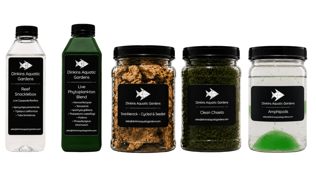 Reef Snacklebasket - Create Your Own Mix - and - Match Combo Pack - Dinkins Aquatic Gardens