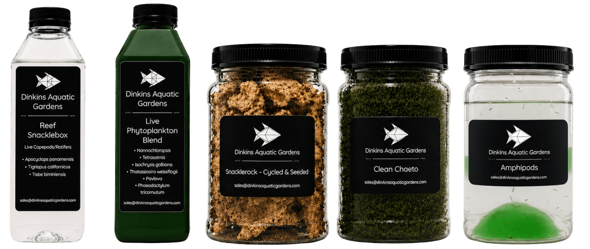 Reef Snacklebasket - Create Your Own Mix-and-Match Combo Pack - Dinkins Aquatic Gardens