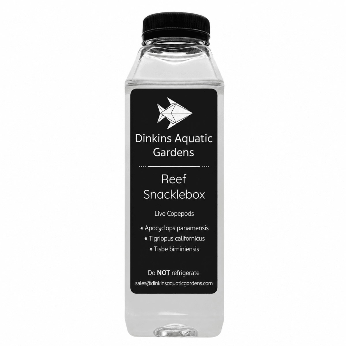 Three Species Blend of Live Copepods