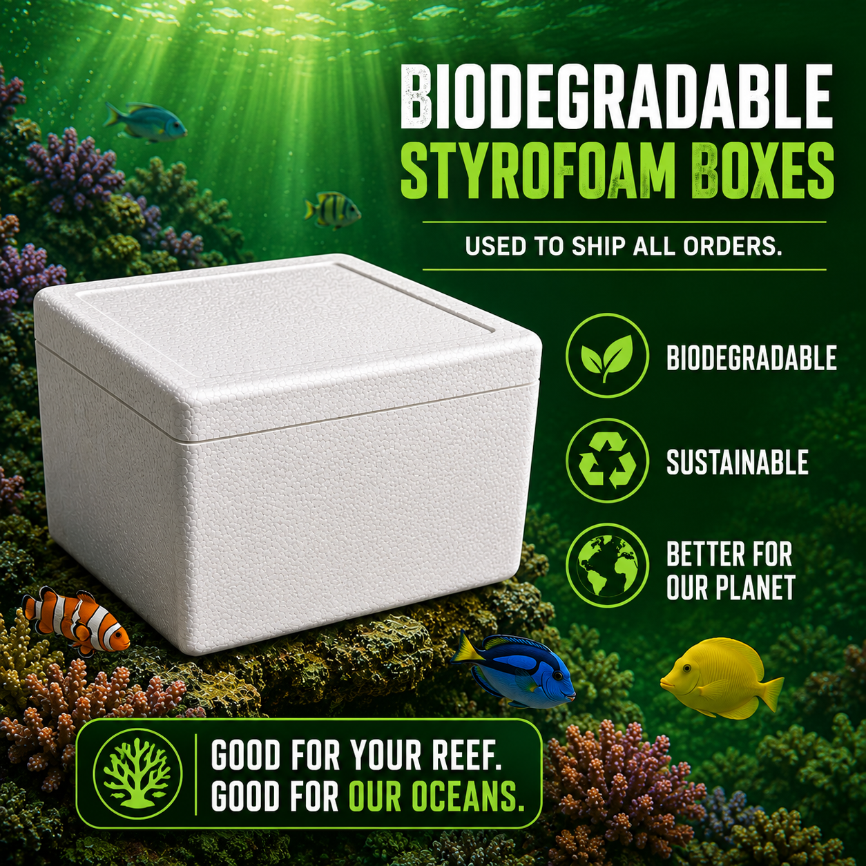 Dinkins Aquatic Gardens uses sustainable biodegradable styrofoam boxes to protect our live food shipments