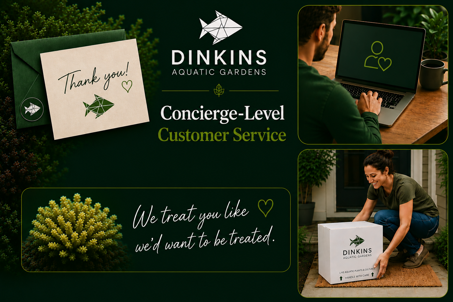 Dinkins Aquatic Gardens provides exceptional customer service on our live copepods, phytoplankton, amphipods, clean chaeto