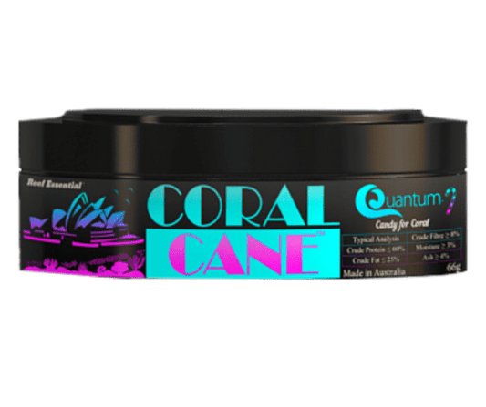 Coral Cane Coral Food