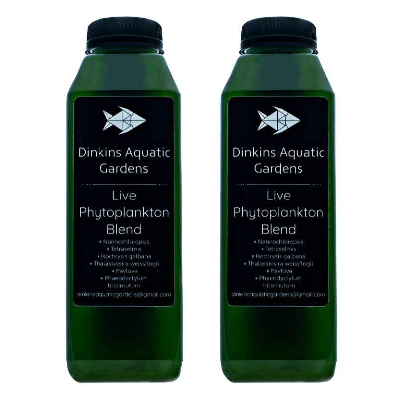 Live Phytoplankton (32 oz.)