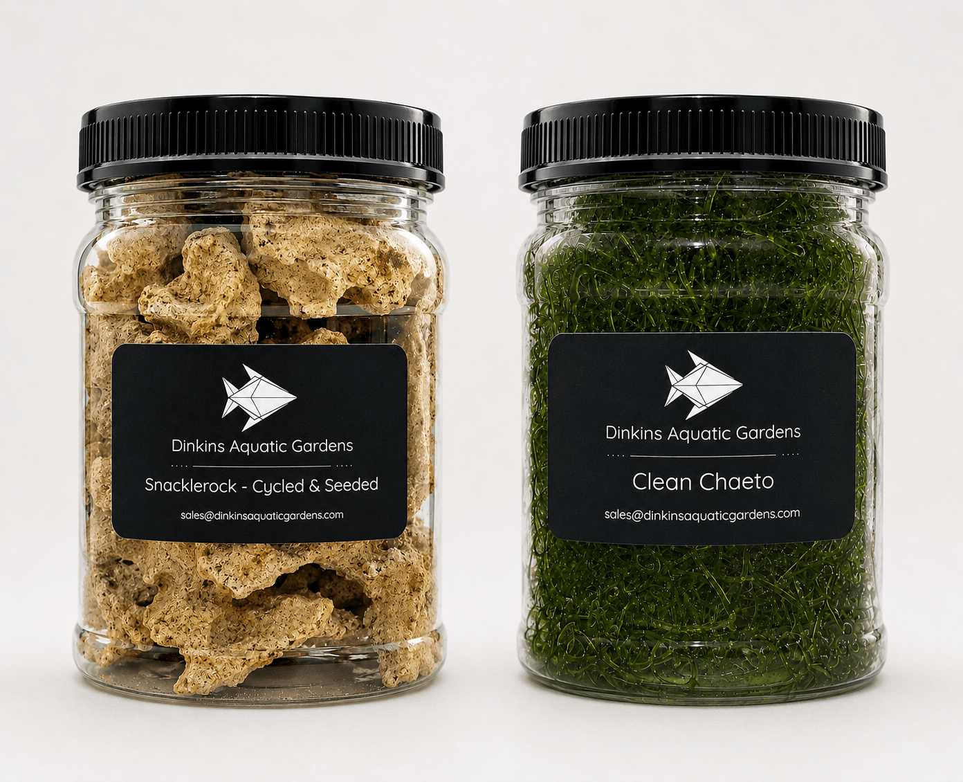 Snacklerock and Clean Chaeto