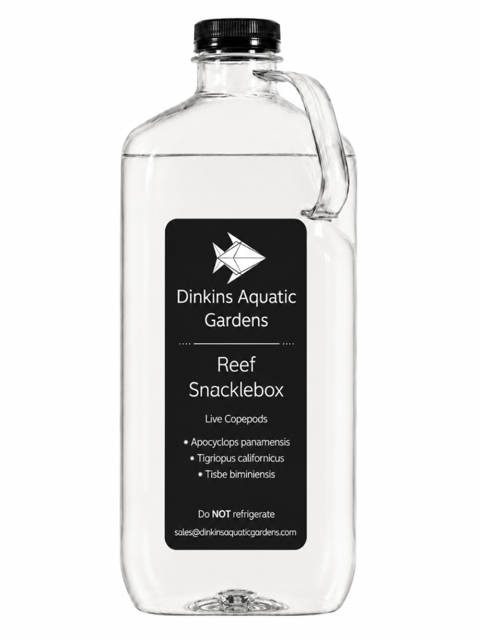 Reef Snacklebox™ - Three Species Blend of Live Copepods - Dinkins Aquatic Gardens