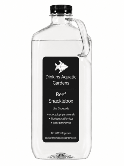 Reef Snacklebox™ - Three Species Blend of Live Copepods - Dinkins Aquatic Gardens