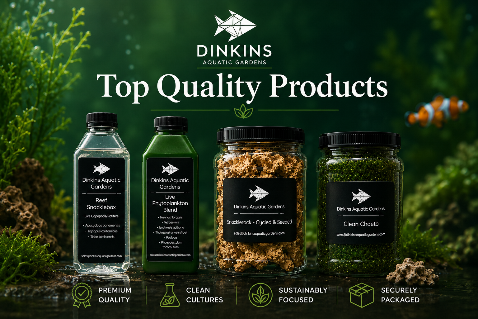 Dinkins Aquatic Gardens delivers quality, the best copepods, phytoplankton, clean chaeto, and cycled live rock