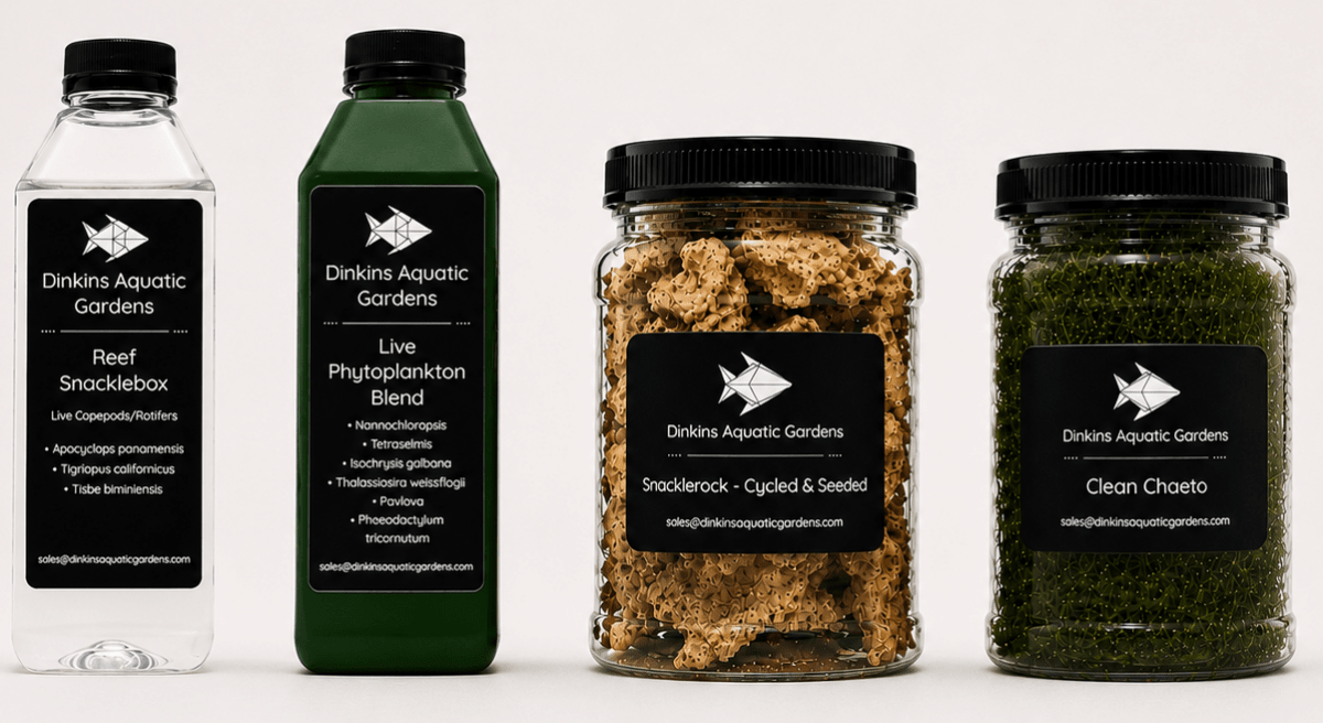 Build Your Own Snacklebasket - Dinkins Aquatic Gardens