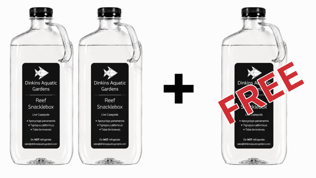 COPEPOD EXPLOSION - Reef Snacklebox Copepod Blend + 50% More FREE! - Dinkins Aquatic Gardens