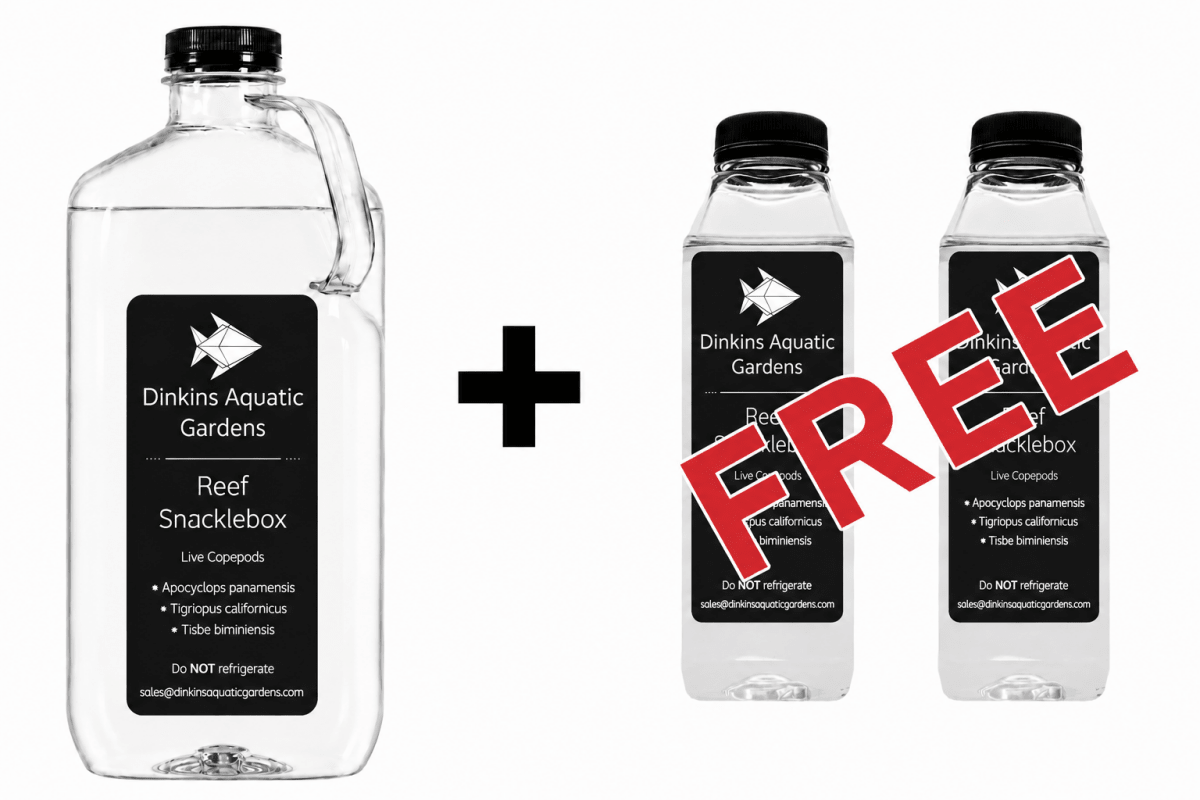 COPEPOD EXPLOSION - Reef Snacklebox Copepod Blend + 50% More FREE! - Dinkins Aquatic Gardens