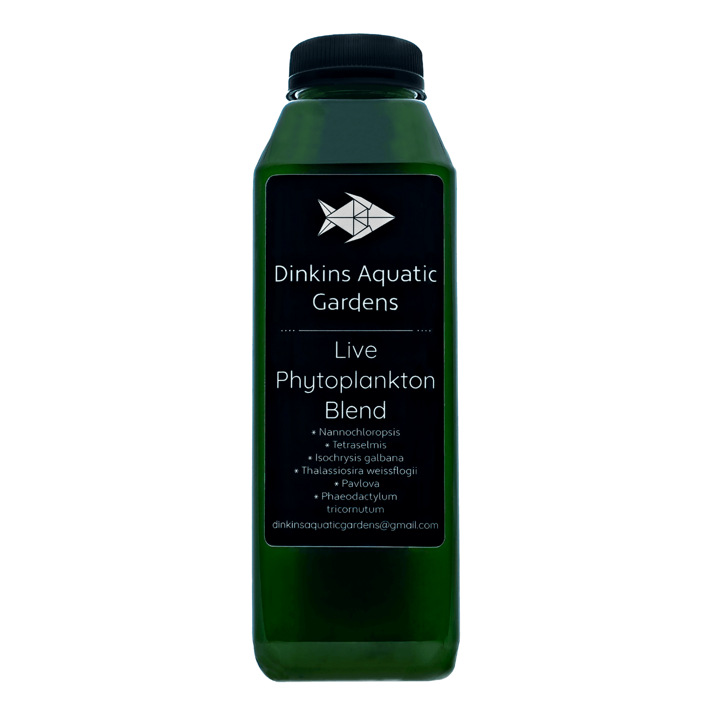 Live Phytoplankton (16 oz)