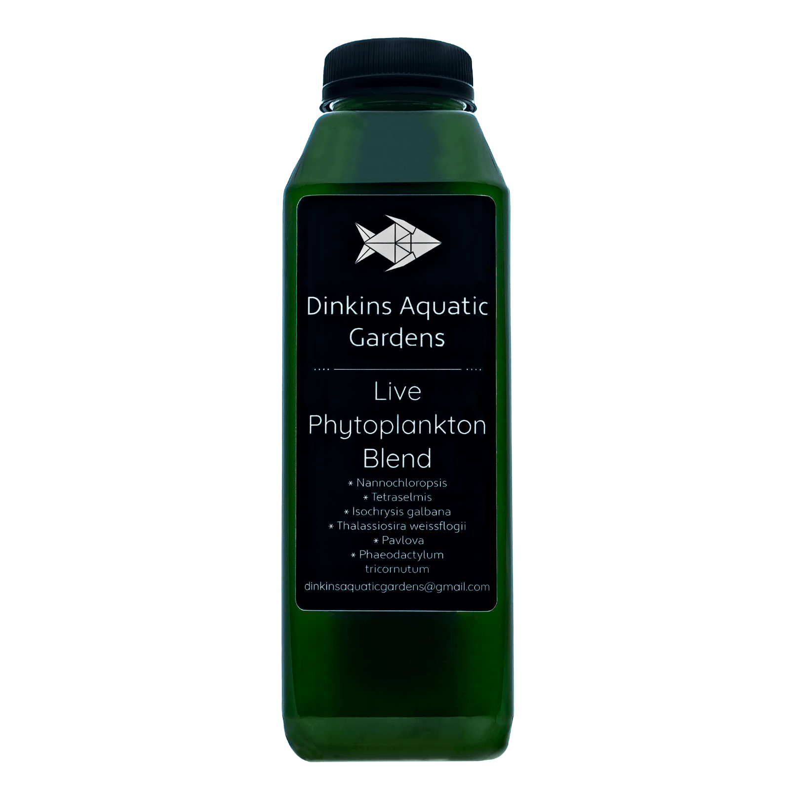 Live Phytoplankton (16 oz)