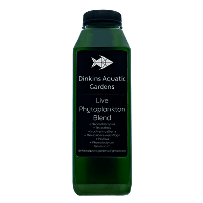 Live Phytoplankton (16 oz)