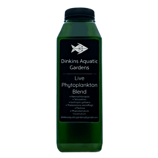 Live Phytoplankton (16 oz)