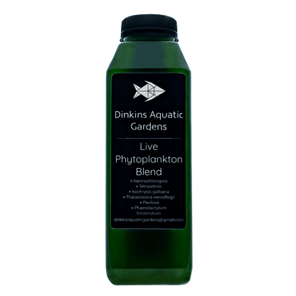 Live Phytoplankton (16 oz)