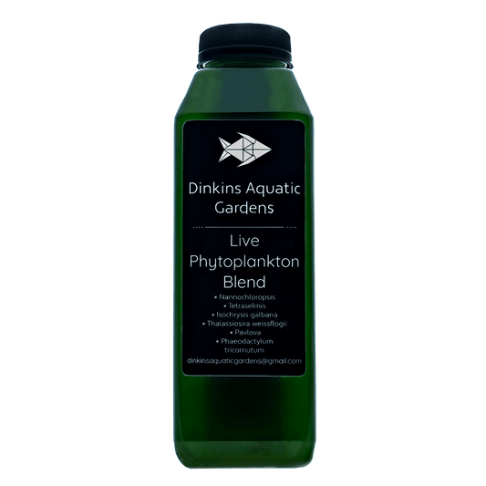 Live Phytoplankton (16 oz)