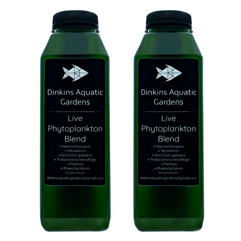 Live Phytoplankton (32 oz.)