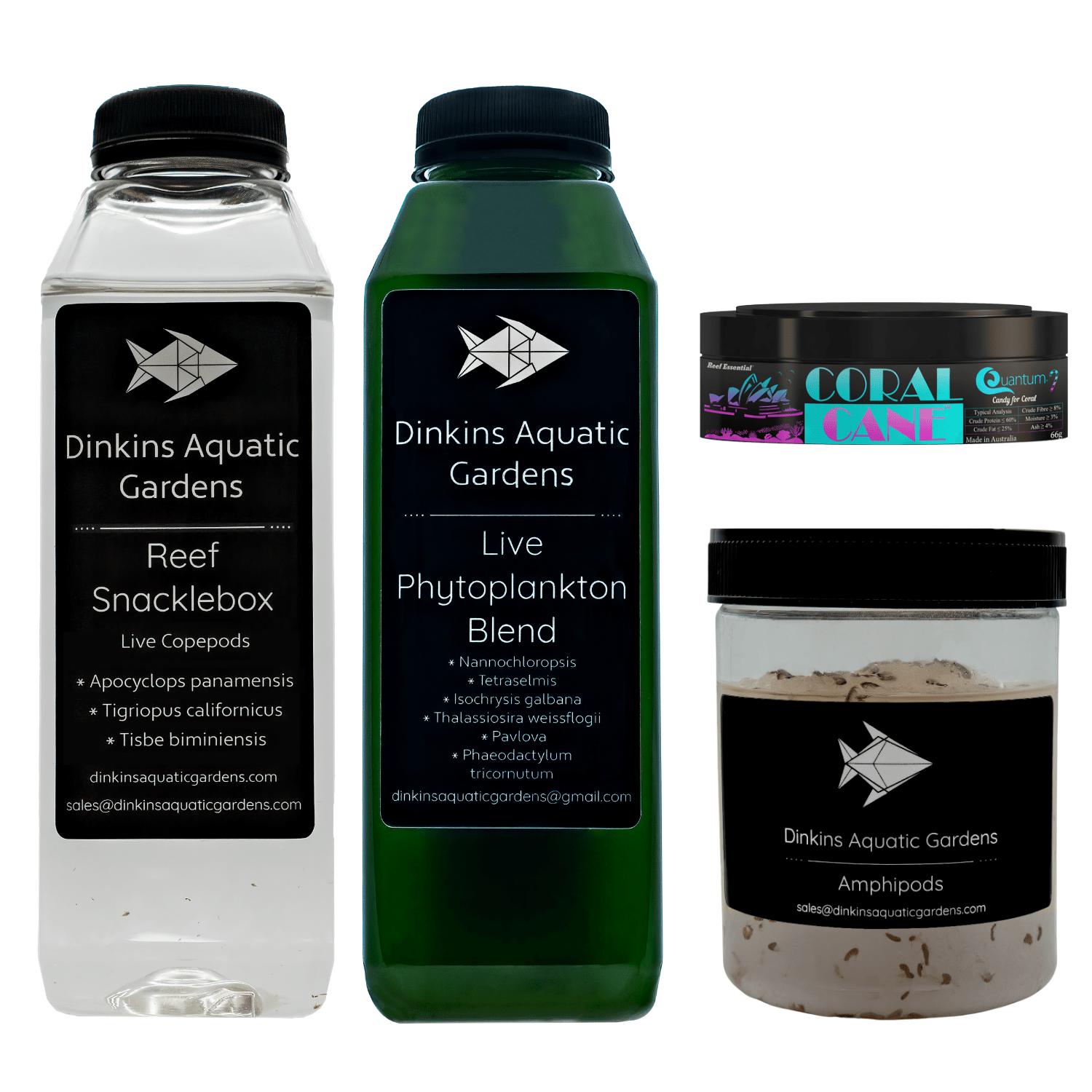 Snacklecrate Combo - Snacklebox + Phytoplankton + Amphipods + Coral Cane - Dinkins Aquatic Gardens