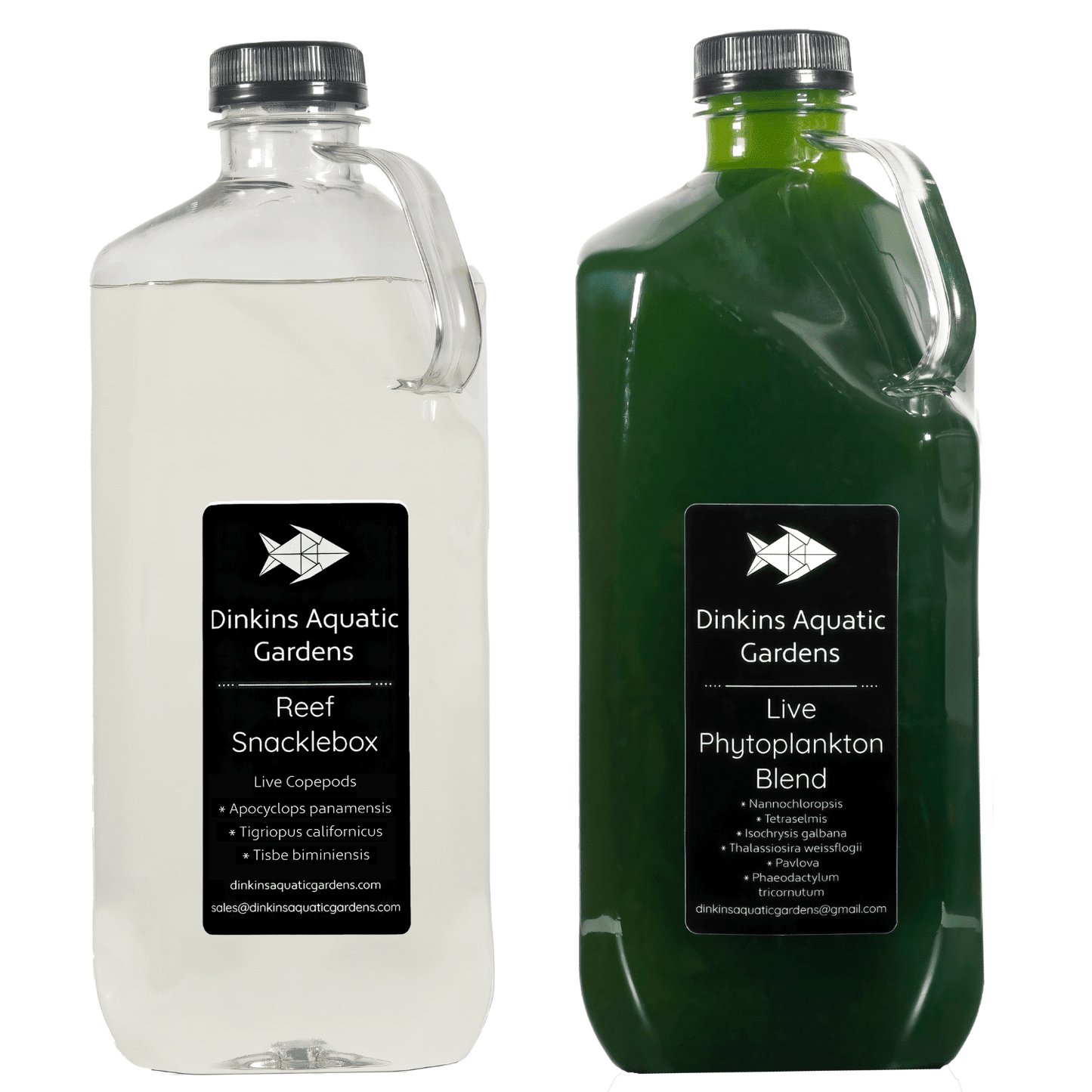 Snacklepack™ Combo - Reef Snacklebox™ + Live Phytoplankton - Dinkins Aquatic Gardens