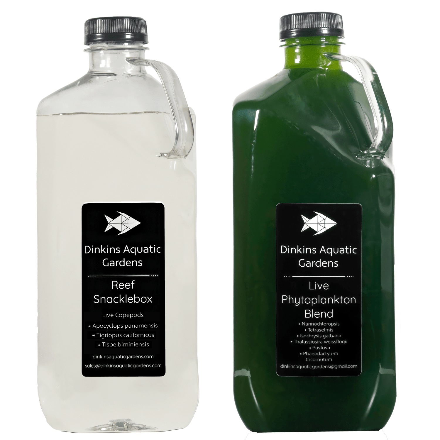 Snacklepack™ Combo - Reef Snacklebox™ + Live Phytoplankton - Dinkins Aquatic Gardens