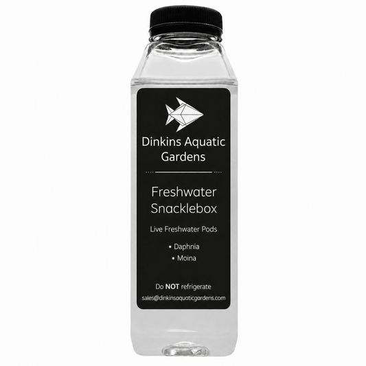 Freshwater Snacklebox - Daphnia + Moina - Dinkins Aquatic Gardens