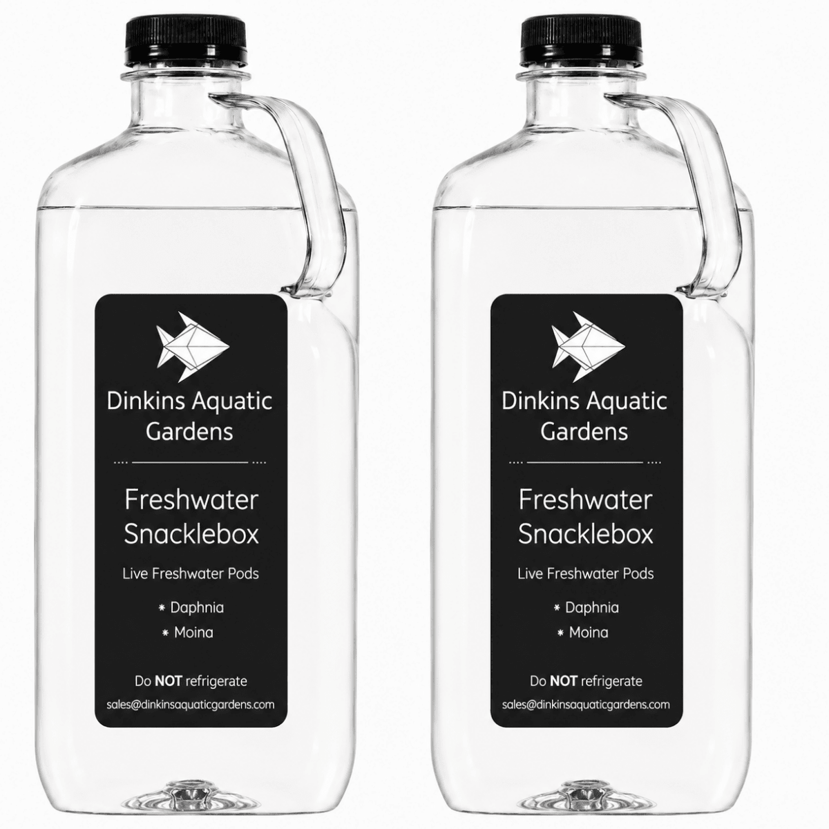 Freshwater Snacklebox - Daphnia + Moina - Dinkins Aquatic Gardens