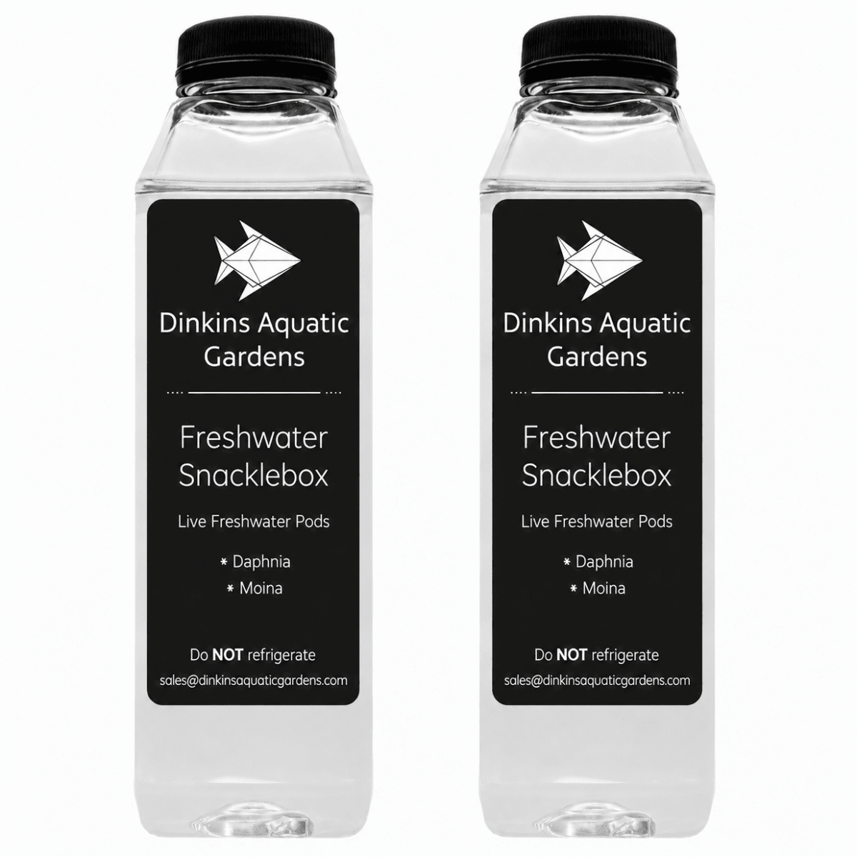 Freshwater Snacklebox - Daphnia + Moina - Dinkins Aquatic Gardens