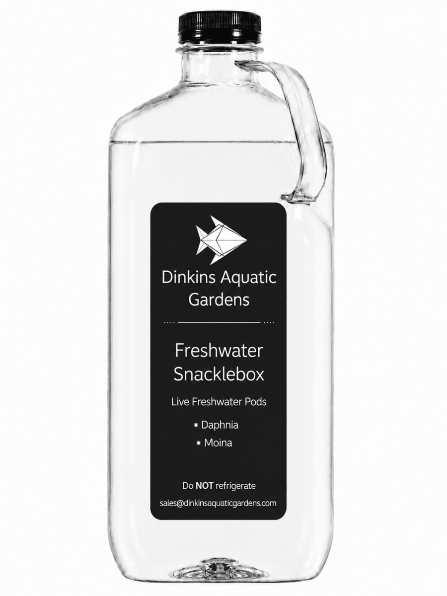 Freshwater Snacklebox - Daphnia + Moina - Dinkins Aquatic Gardens