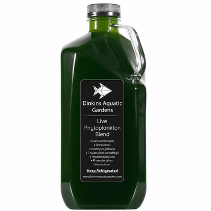 Live Phytoplankton - Six Species Blend - Dinkins Aquatic Gardens