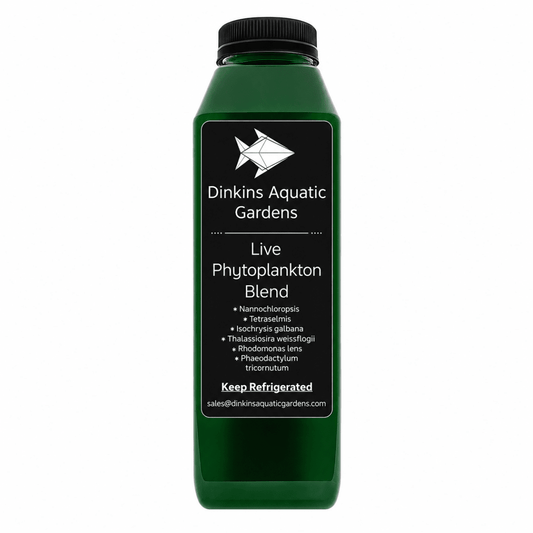 Live Phytoplankton - Six Species Blend - Dinkins Aquatic Gardens