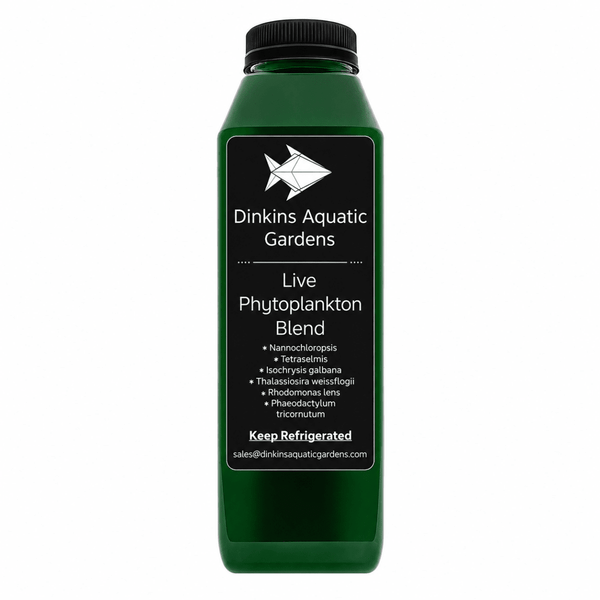 Live Phytoplankton - Six Species Blend - Dinkins Aquatic Gardens