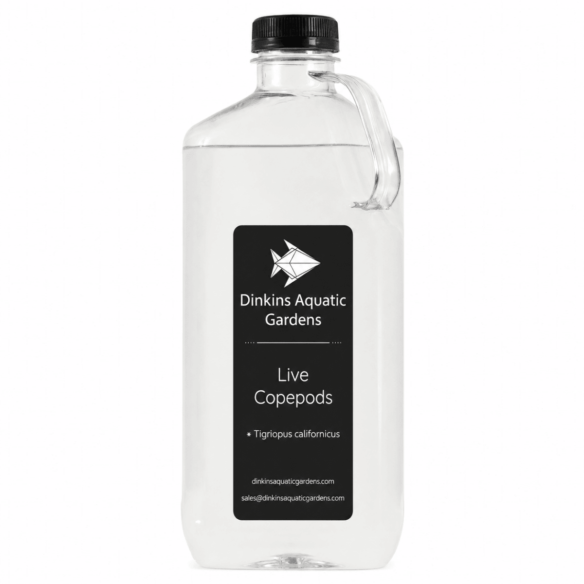 Live Tigriopus Copepods (Single Species) - Dinkins Aquatic Gardens