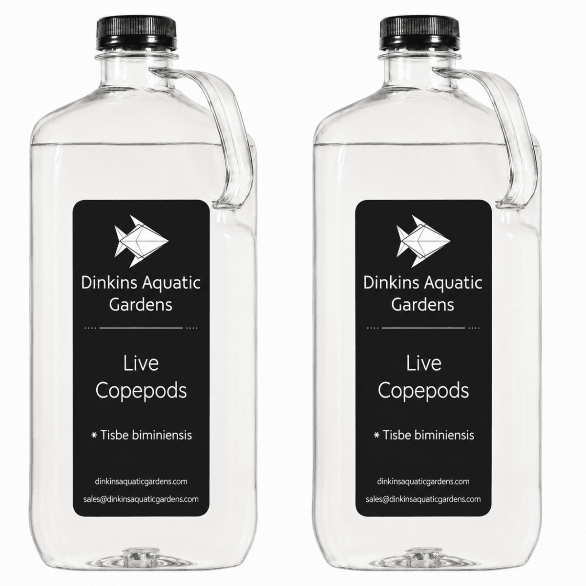Live Tisbe Copepods (Single Species) - Dinkins Aquatic Gardens