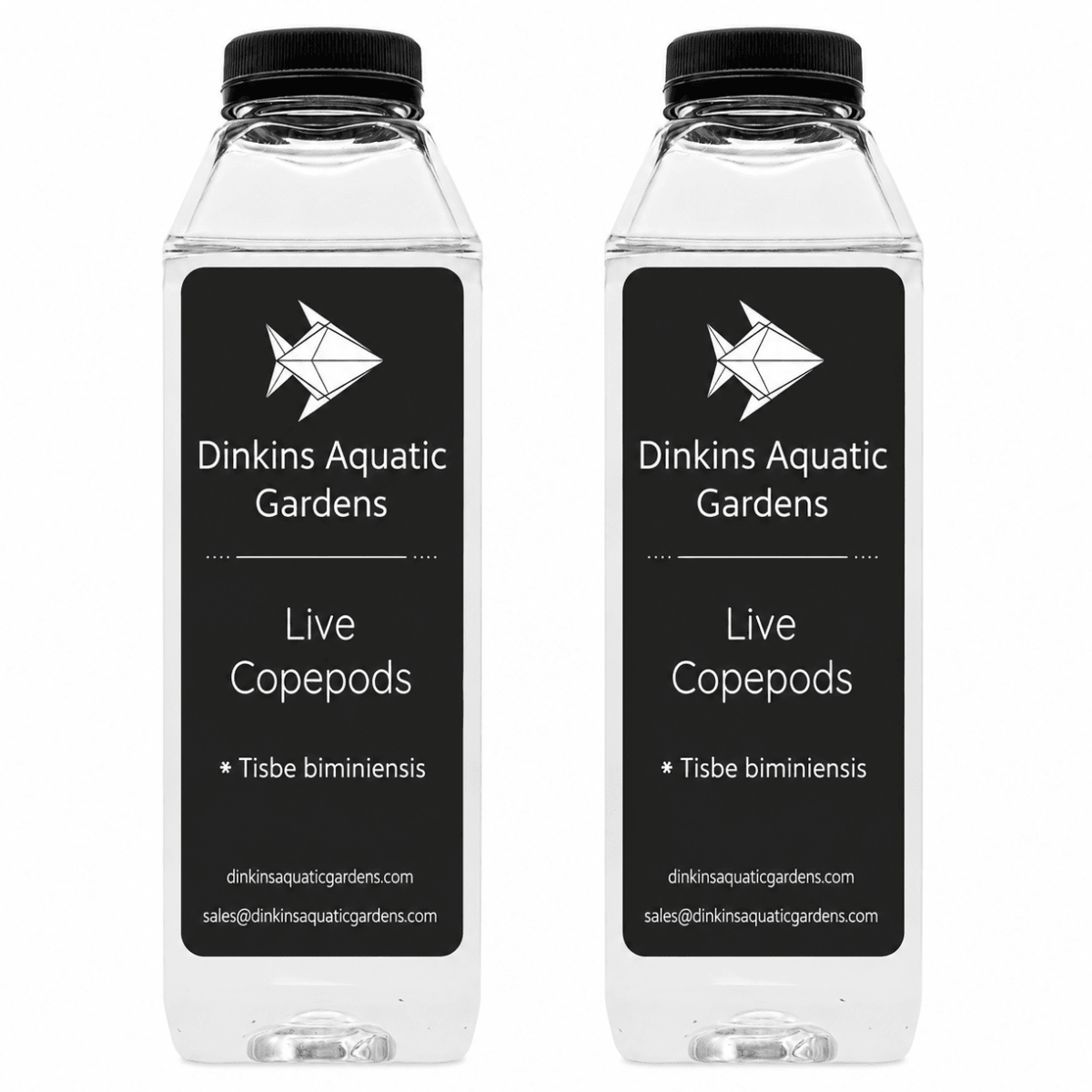 Live Tisbe Copepods (Single Species) - Dinkins Aquatic Gardens