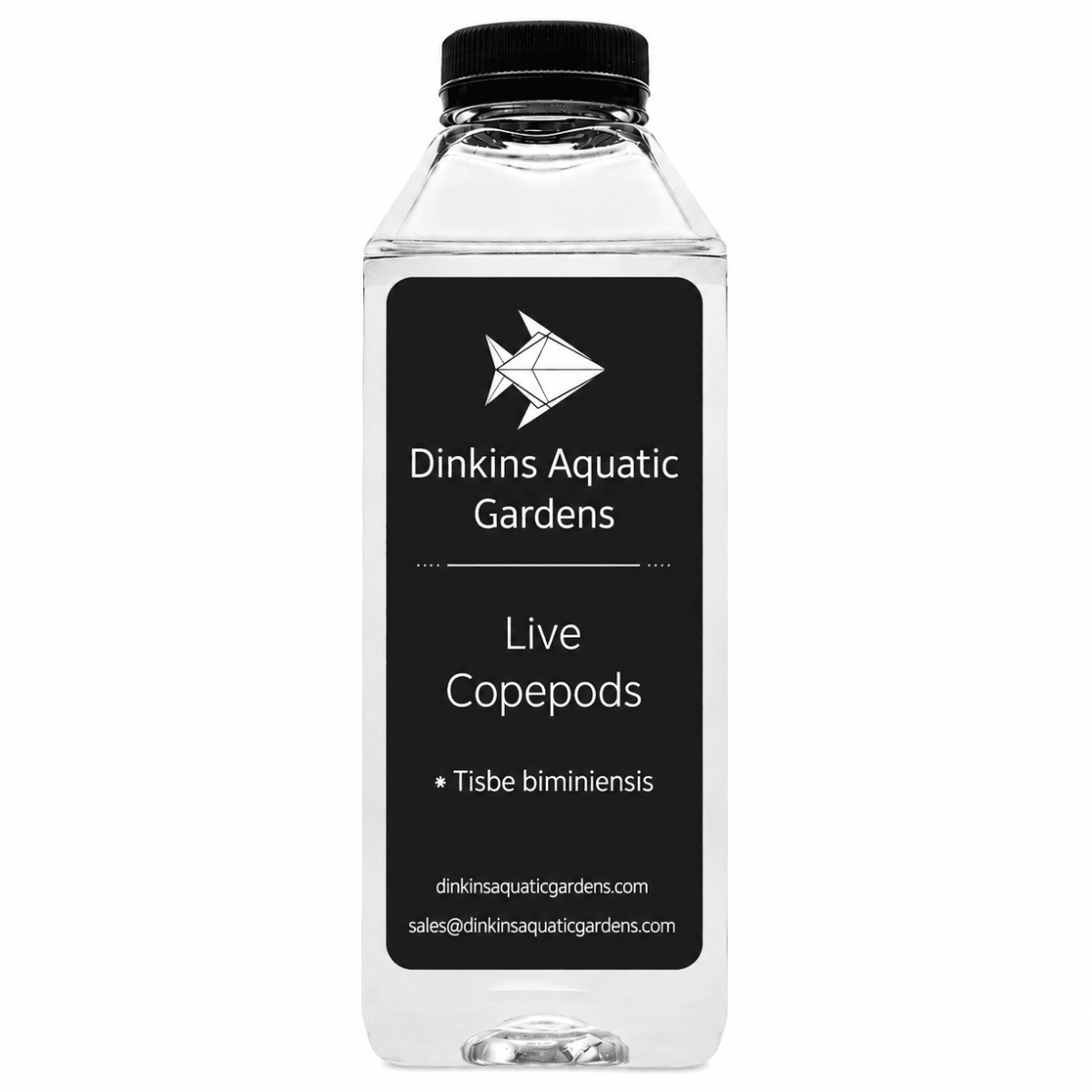 Live Tisbe Copepods (Single Species) - Dinkins Aquatic Gardens