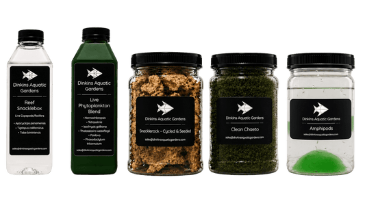 Reef Snacklebasket - Create Your Own Mix - and - Match Combo Pack - Dinkins Aquatic Gardens