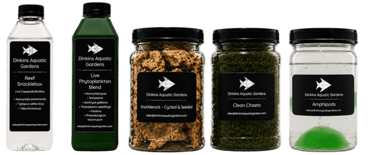 Reef Snacklebasket - Create Your Own Mix-and-Match Combo Pack - Dinkins Aquatic Gardens