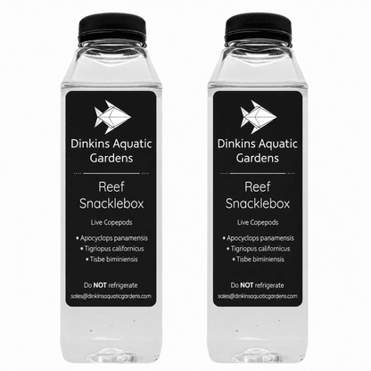 Reef Snacklebox™ - Three Species Blend of Live Copepods - Dinkins Aquatic Gardens