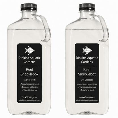 Reef Snacklebox™ - Three Species Blend of Live Copepods - Dinkins Aquatic Gardens