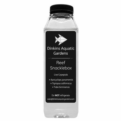 Reef Snacklebox™ - Three Species Blend of Live Copepods - Dinkins Aquatic Gardens