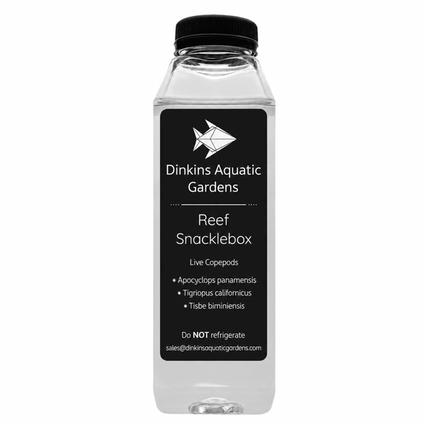 Reef Snacklebox™ - Three Species Blend of Live Copepods - Dinkins Aquatic Gardens